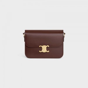 Celine Classique Bag In Shiny Calfskin Triomphe Bruin | CL-593177