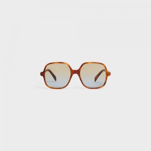 Celine Oversized S244 In Acetate Zonnebril Bruin | CL-592434