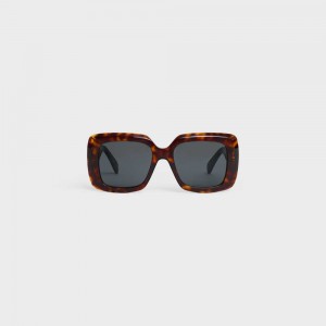 Celine Square S263 In Acetate Zonnebril Bruin | CL-592376