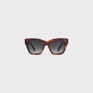 Celine Triomphe 09 In Acetate Zonnebril Bruin | CL-592389