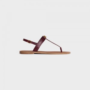 Celine Triomphe String In Crocodile Stamped Calfskin Sandalen Donkerbordeaux | CL-592589