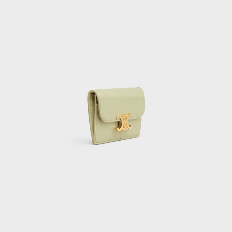 Celine Flap Triomphe Shiny Calfskin Pasjeshouder Groen | CL-592948