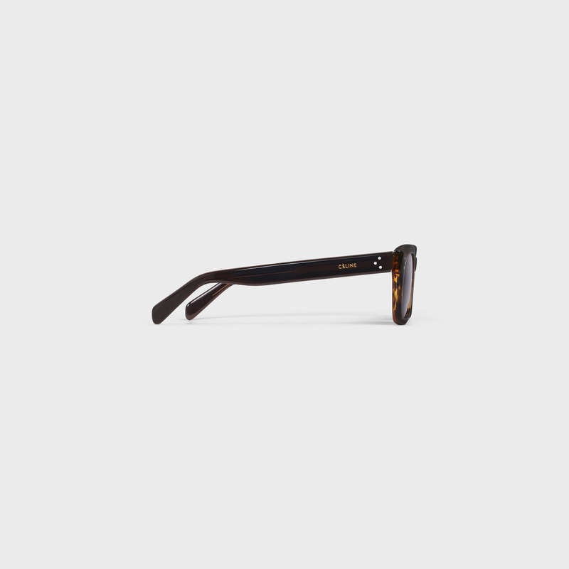 Celine Frame 41 In Acetate Zonnebril Bruin | CL-591741