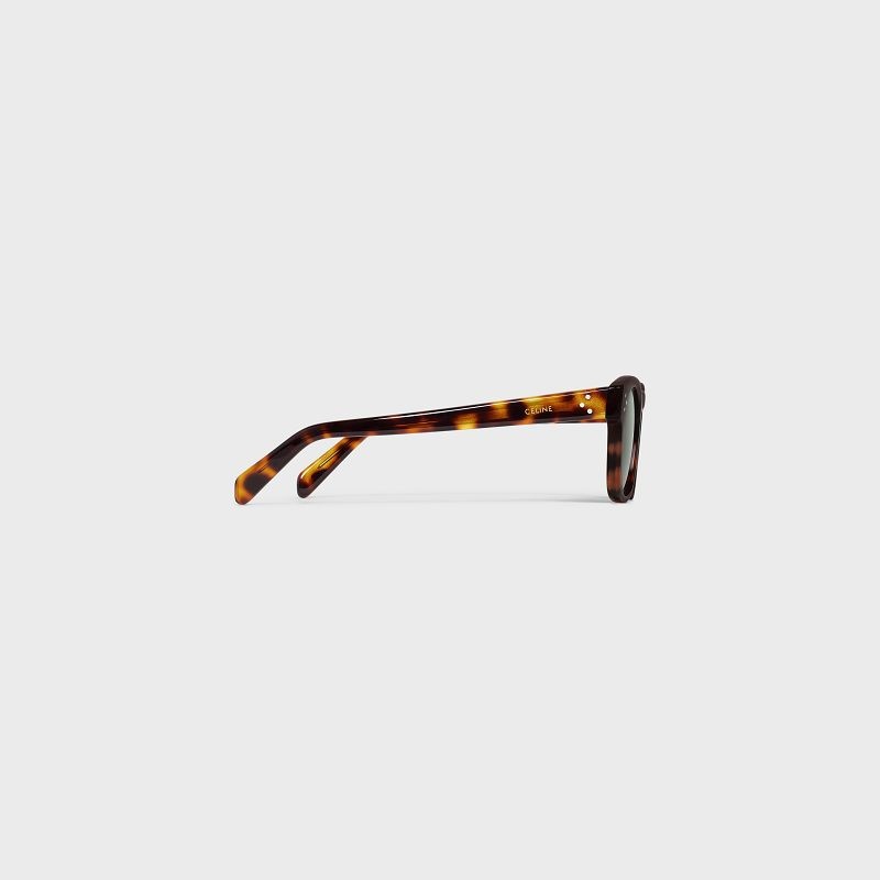 Celine Frame 42 In Acetate Zonnebril Bruin | CL-591743