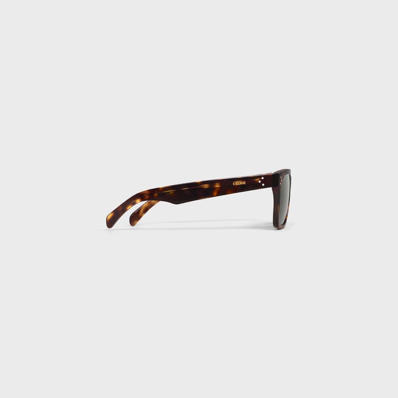 Celine Frame 45 In Acetate Zonnebril Bruin | CL-591737