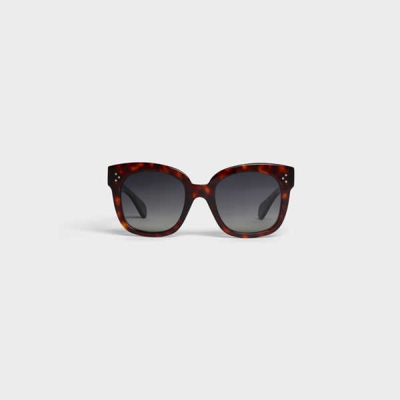 Celine Oversized S002 In Acetate With Polarized Lenses Zonnebril Rood | CL-592437