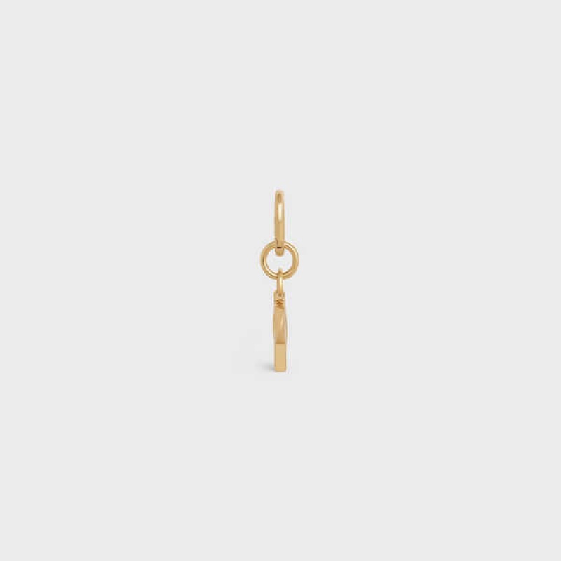 Celine R Charm In Brass Kleine Lederwaren Goud | CL-592937