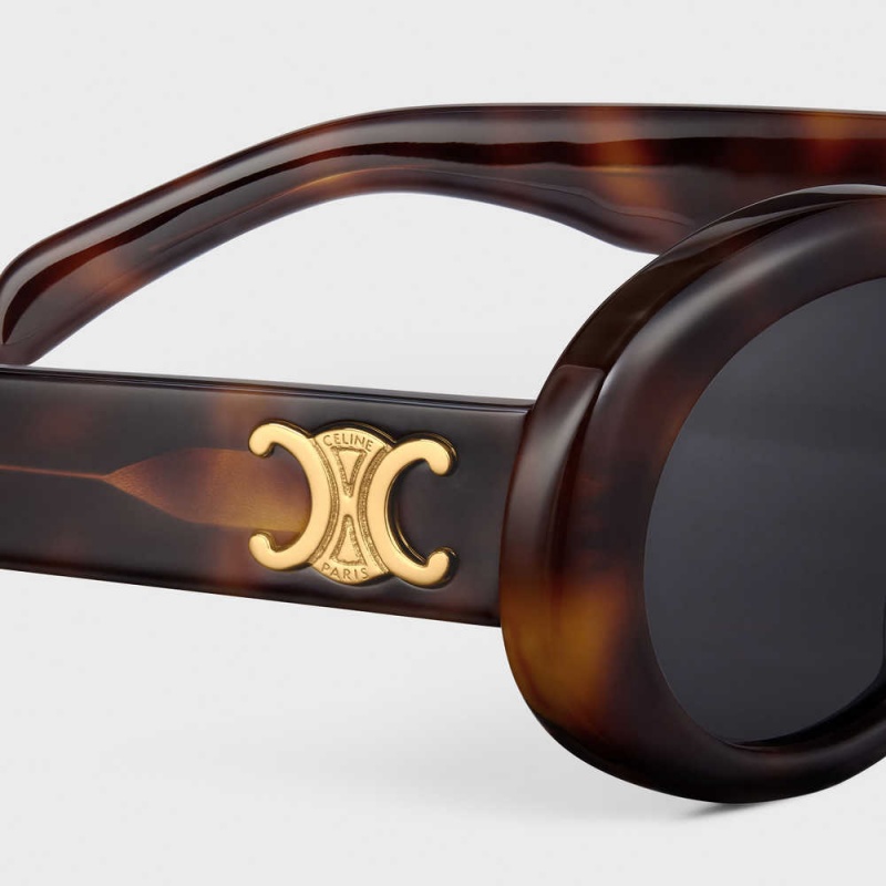 Celine Triomphe 01 In Acetate Zonnebril Bruin | CL-592380