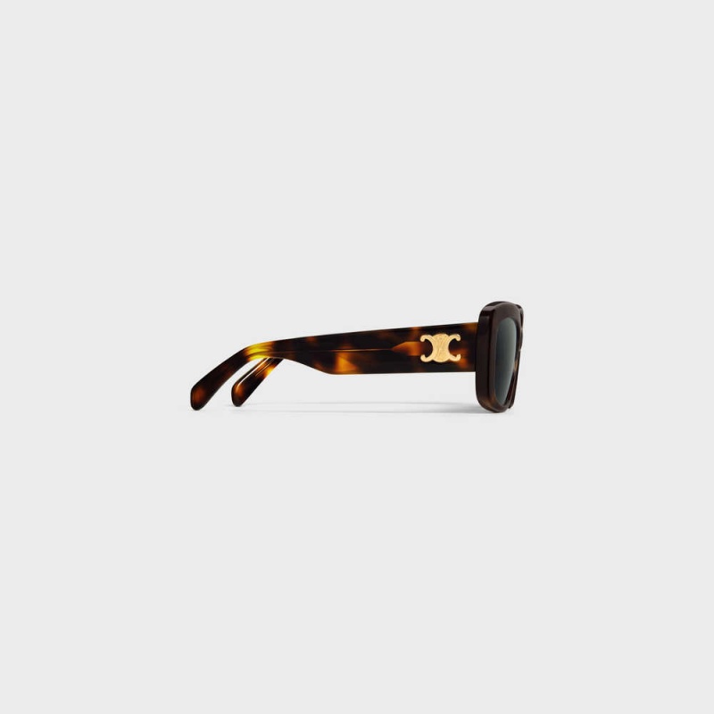 Celine Triomphe 04 In Acetate Zonnebril Bruin | CL-592392